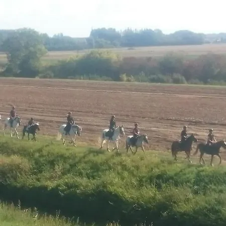 Moderne A La Campagne *