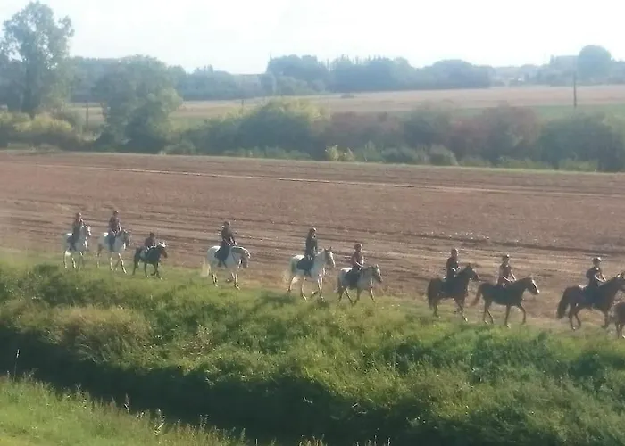 Moderne A La Campagne *